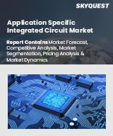 Global Application Specific Integrated Circuit Market