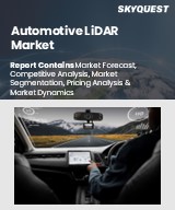 Global Automotive LiDAR Market