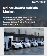 China Electric Vehicle Market
