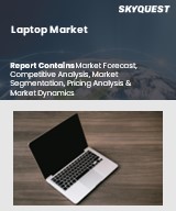 Global Laptop Market
