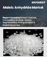 Global Maleic Anhydride Market