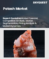 Global Potash Market