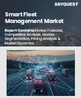 Global Smart Fleet Management Market