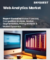 Global Web Analytics Market
