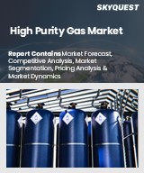 Global High Purity Gas Market