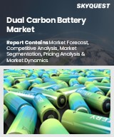 Global Dual Carbon Battery Market
