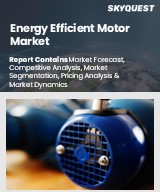 Global Energy Efficient Motor Market