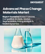 Global Advanced Phase Change Materials Market