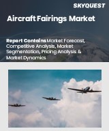 Global Aircraft Fairings Market