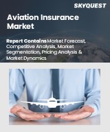 Global Aviation Insurance Market