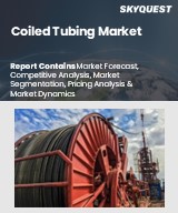 Global Coiled Tubing Market