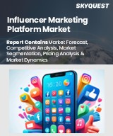 Global Influencer Marketing Platform Market