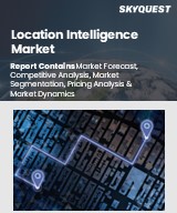 Global Location Intelligence Market