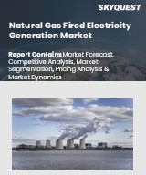 Global Natural Gas Fired Electricity Generation Market