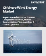 Global Offshore Wind Energy Market