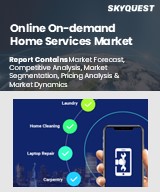 Global Online On-Demand Home Services Market