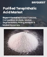 Global Purified Terephthalic Acid Market