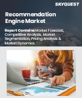 Global Recommendation Engine Market