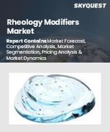Global Rheology Modifiers Market