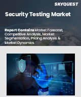 Global Security Testing Market