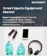 Global Smart Sports Equipment Market