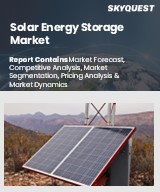 Global Solar Energy Storage Market