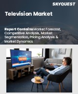 Global Television Market