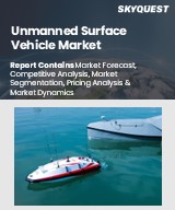 Global Unmanned Surface Vehicle Market