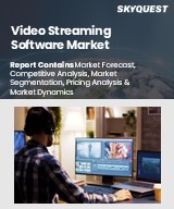 Global Video Streaming Software Market