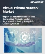 Global Virtual Private Network Market