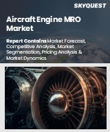 Global Aircraft Engine MRO Market