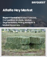 Global Alfalfa Hay Market