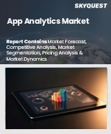 Global App Analytics Market