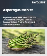 Global Asparagus Market
