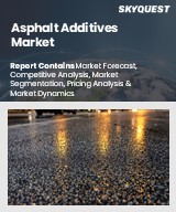 Global Asphalt Additives Market