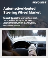 Global Automotive Heated Steering Wheel Market