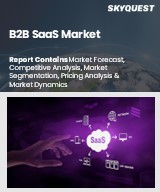 Global B2B SaaS Market
