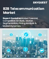 Global B2B Telecommunication Market