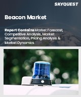 Global Beacon Market