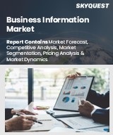 Global Business Information Market