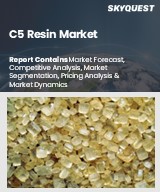 Global C5 Resin Market