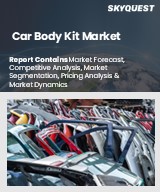 Global Car Body Kit Market