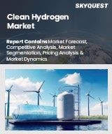 Global Clean Hydrogen Market