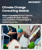 Global Climate Change Consulting Market