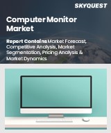 Global Computer Monitor Market