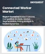 Global Connected worker market