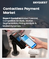 Global Contactless Payment Market