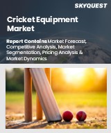 Global Cricket Equipment Market