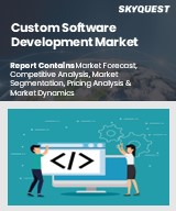 Global Custom Software Development Market