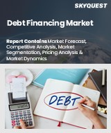Global Debt Financing Market